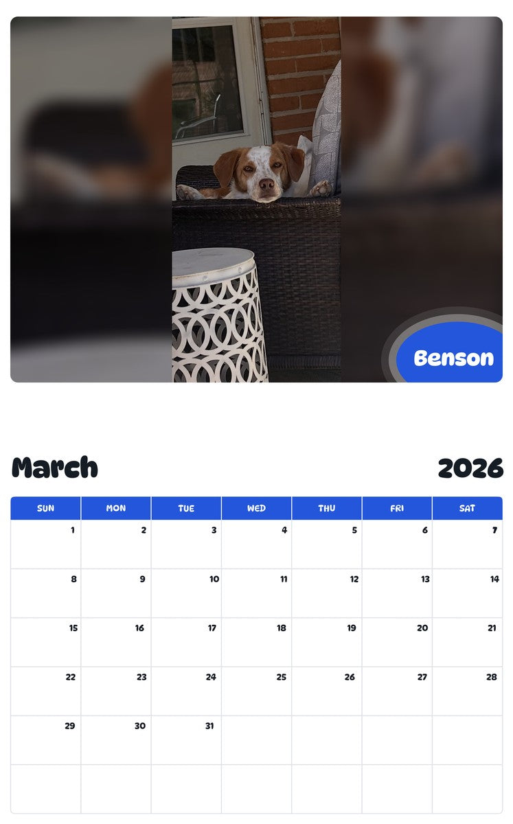 November 2025 - October 2026 Benson - Pawidols Pet Calendar