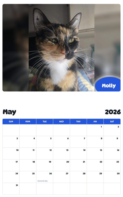 2026 - 2027 Molly - Pawidols Pet Calendar