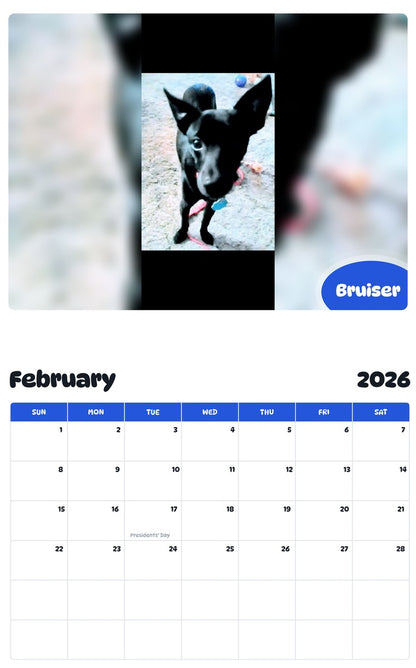 October 2025 - September 2026 Bruiser - Pawidols Pet Calendar