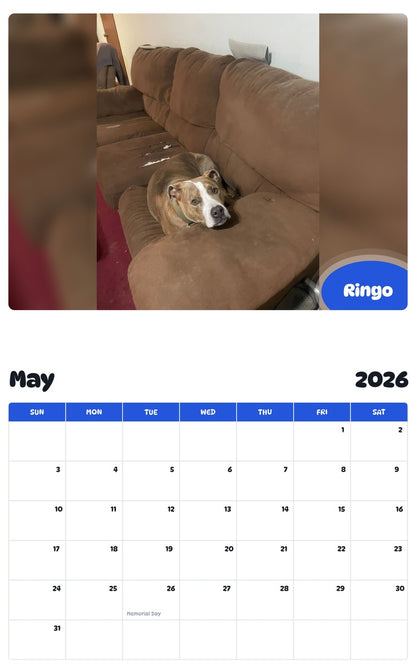 2026 - 2027 Ringo - Pawidols Pet Calendar