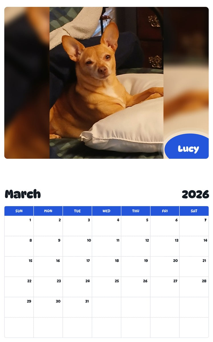 November 2025 - October 2026 Lucy - Pawidols Pet Calendar