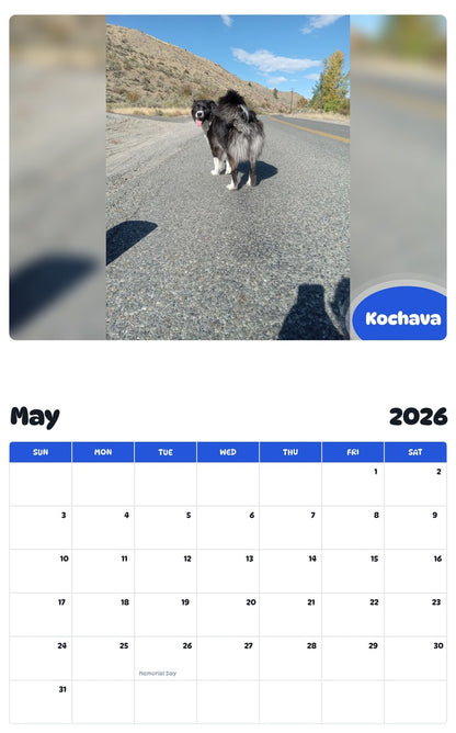 2026 - 2027 Kochava - Pawidols Pet Calendar