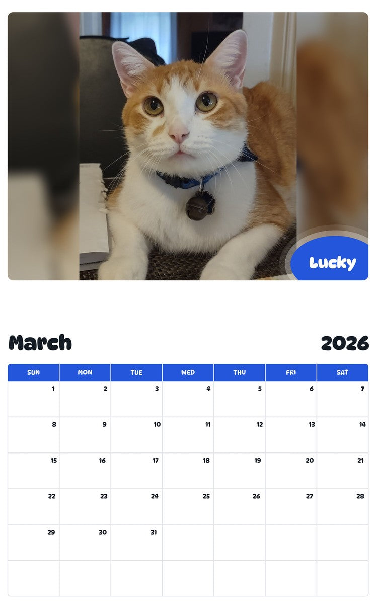 November 2025 - October 2026 Lucky - Pawidols Pet Calendar
