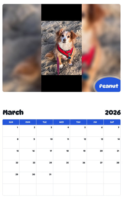 November 2025 - October 2026 Peanut - Pawidols Pet Calendar