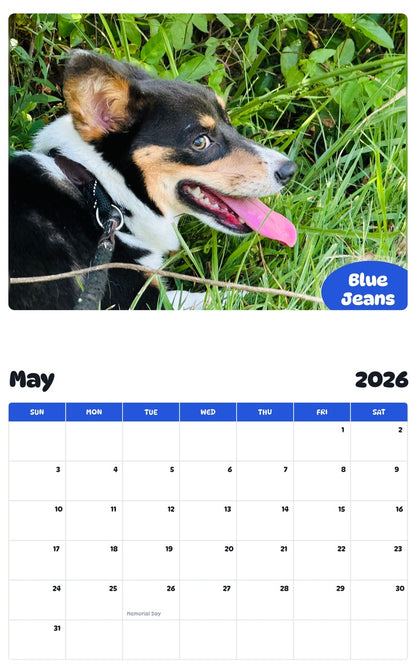 2026 - 2027 Blue Jeans - Pawidols Pet Calendar