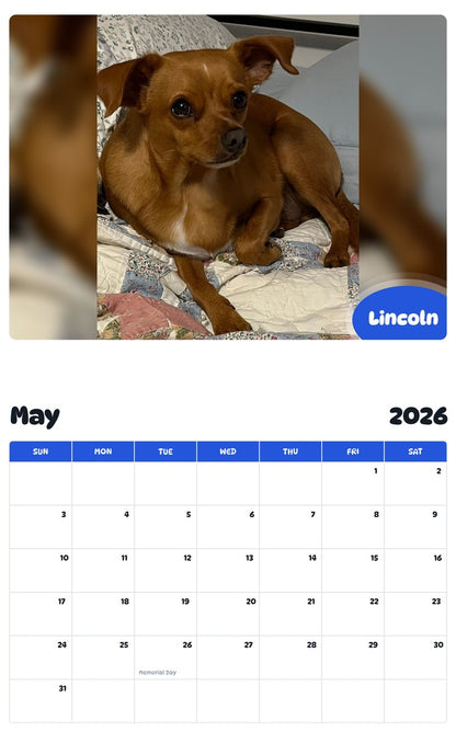 2026 - 2027 Lincoln - Pawidols Pet Calendar