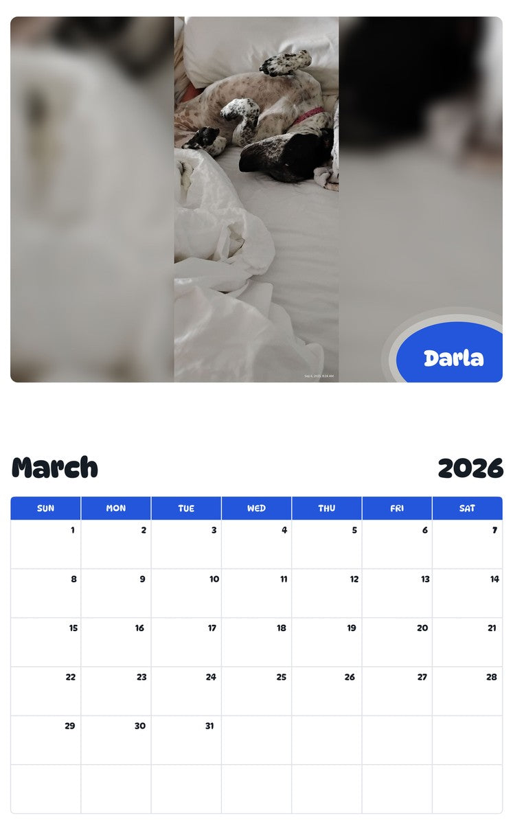 November 2025 - October 2026 Darla - Pawidols Pet Calendar