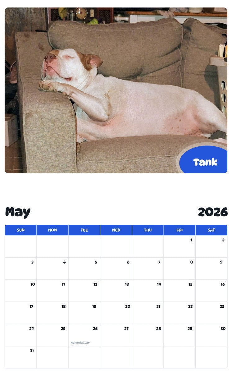 2026 - 2027 Tank - Pawidols Pet Calendar