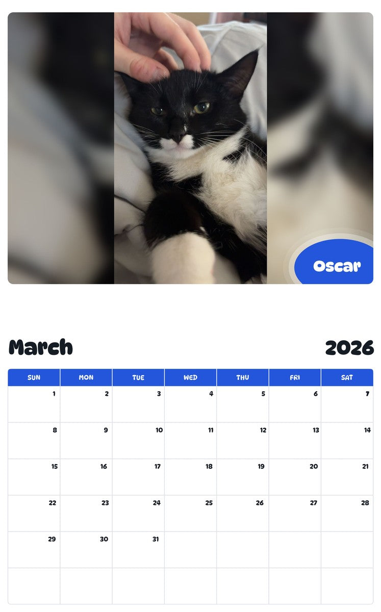 November 2025 - October 2026 Oscar - Pawidols Pet Calendar
