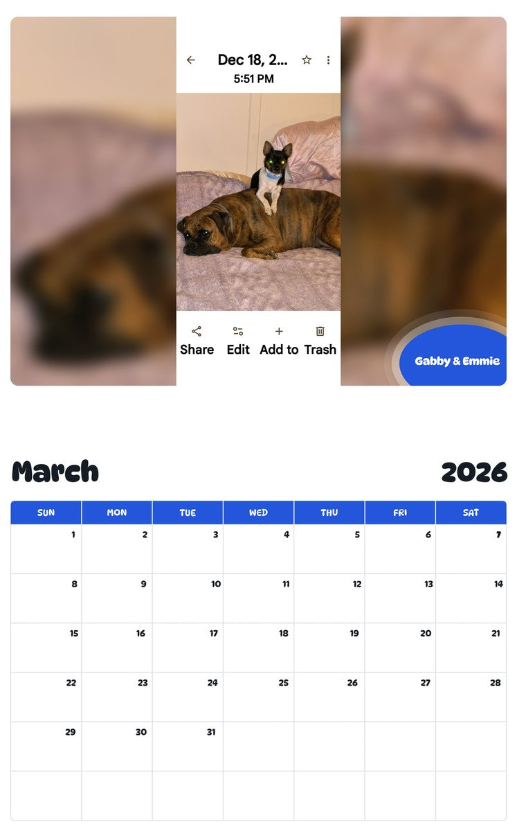 November 2025 - October 2026 Gabby & Emmie - Pawidols Pet Calendar