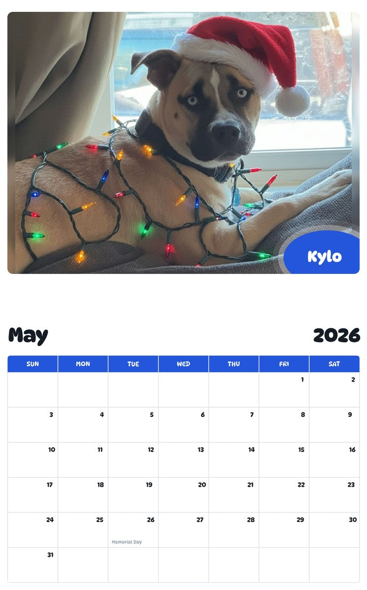 2026 - 2027 Kylo - Pawidols Pet Calendar