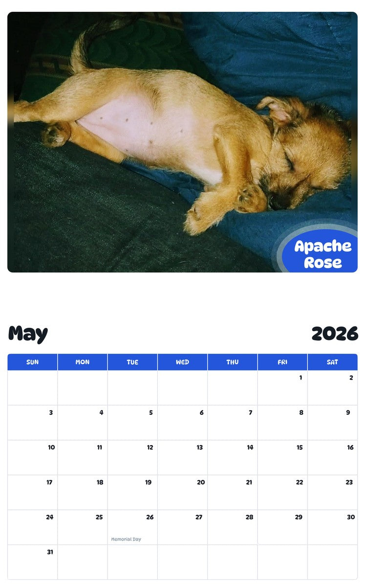 2026 - 2027 Apache Rose - Pawidols Pet Calendar