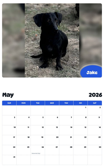 2026 - 2027 Jake - Pawidols Pet Calendar
