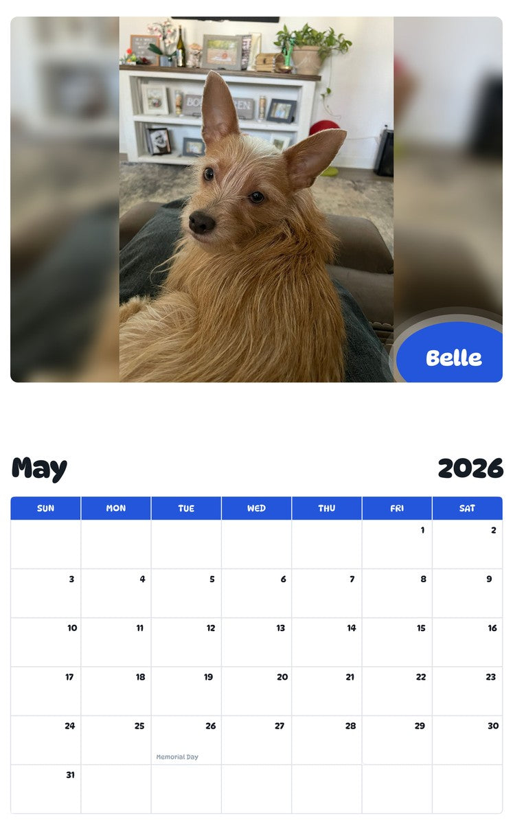 2026 - 2027 Belle - Pawidols Pet Calendar