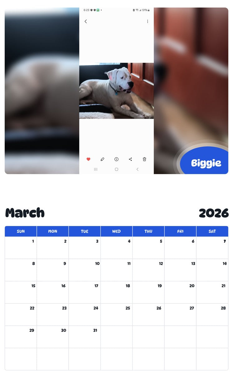 November 2025 - October 2026 Biggie - Pawidols Pet Calendar