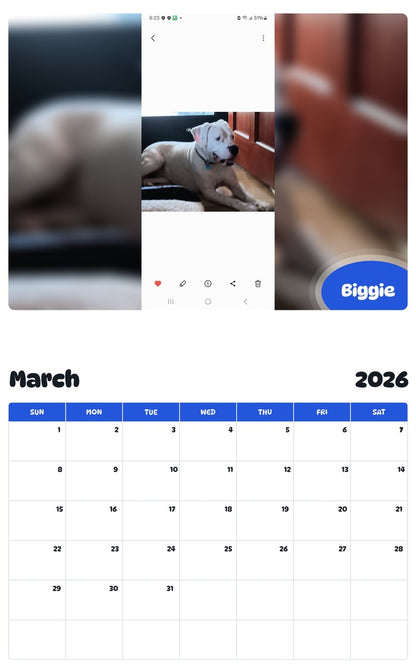 November 2025 - October 2026 Biggie - Pawidols Pet Calendar