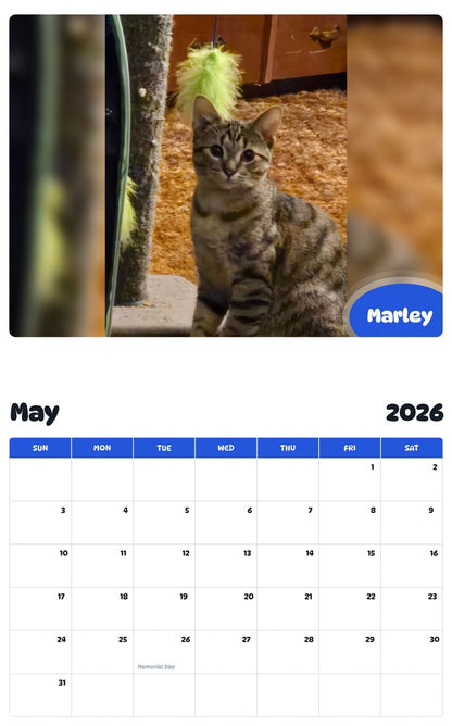 2026 - 2027 Marley - Pawidols Pet Calendar