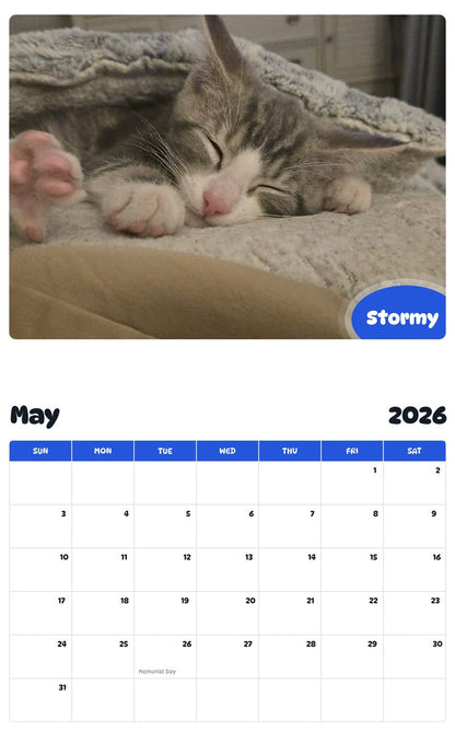2026 - 2027 Stormy - Pawidols Pet Calendar