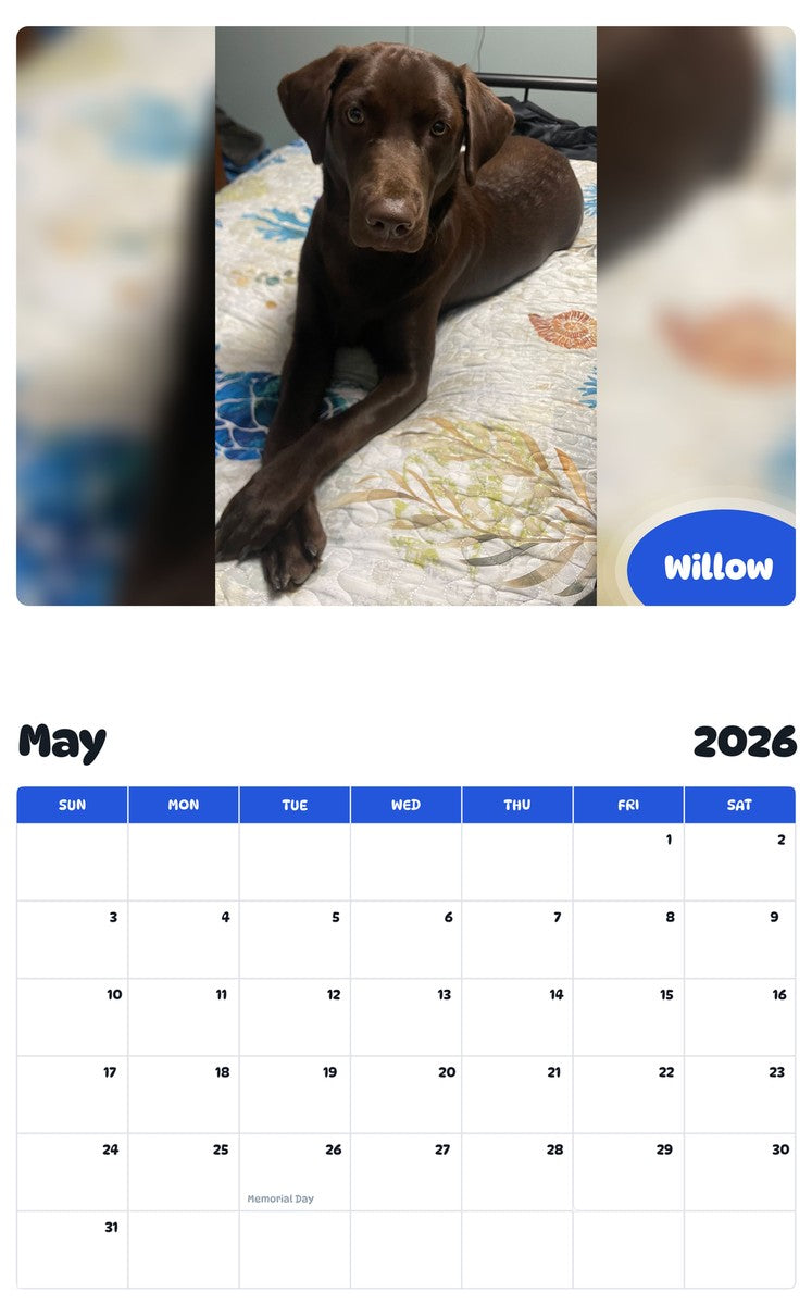 2026 - 2027 Willow - Pawidols Pet Calendar