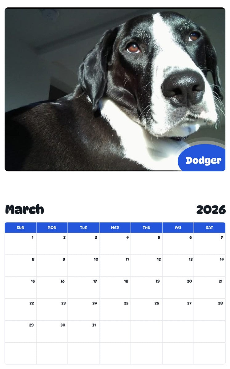 November 2025 - October 2026 Dodger - Pawidols Pet Calendar