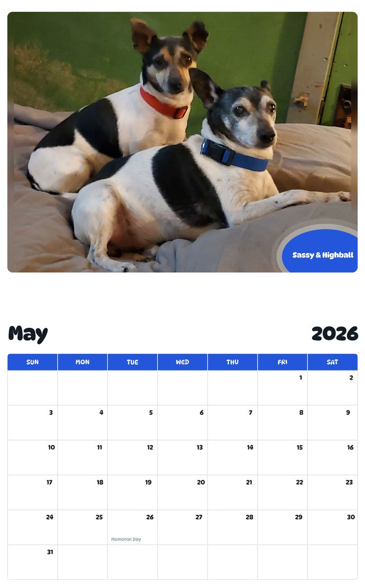 2026 - 2027 Sassy & Highball - Pawidols Pet Calendar
