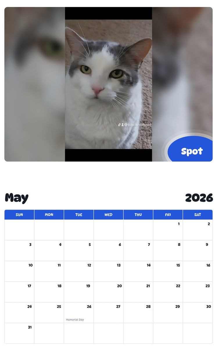2026 - 2027 Spot - Pawidols Pet Calendar