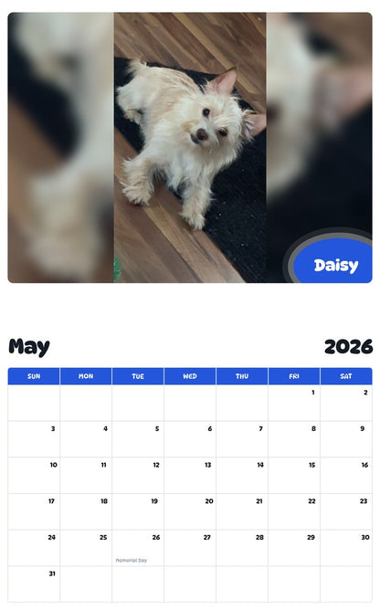 2026 - 2027 Daisy - Pawidols Pet Calendar