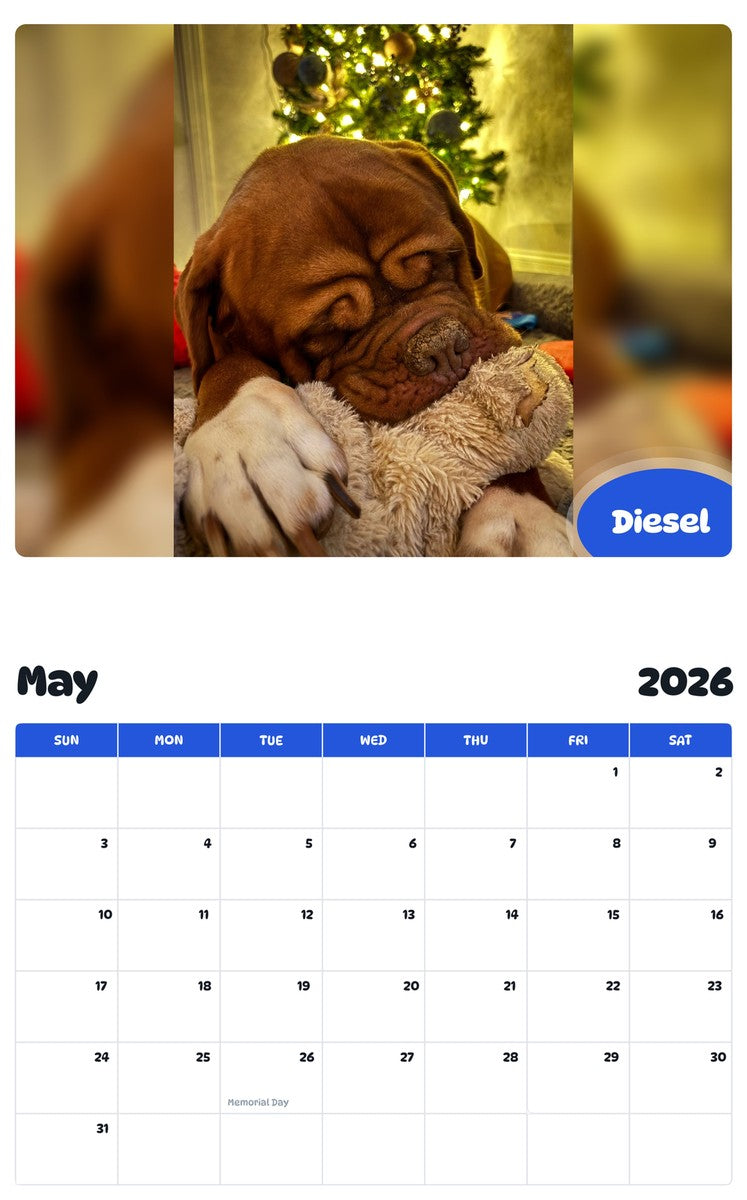 2026 - 2027 Diesel - Pawidols Pet Calendar