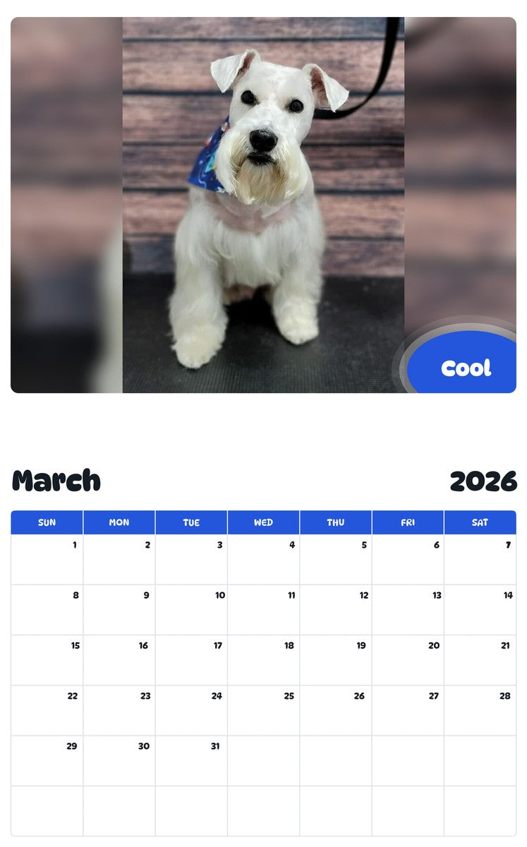 November 2025 - October 2026 Cool - Pawidols Pet Calendar