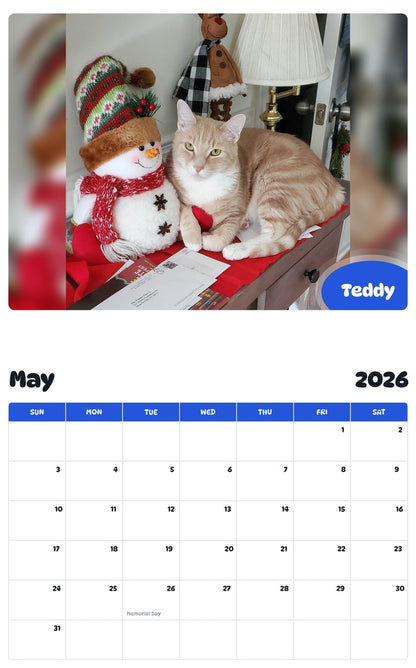 2026 - 2027 Teddy - Pawidols Pet Calendar