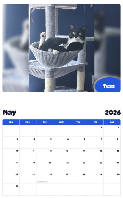 2026 - 2027 Tess - Pawidols Pet Calendar