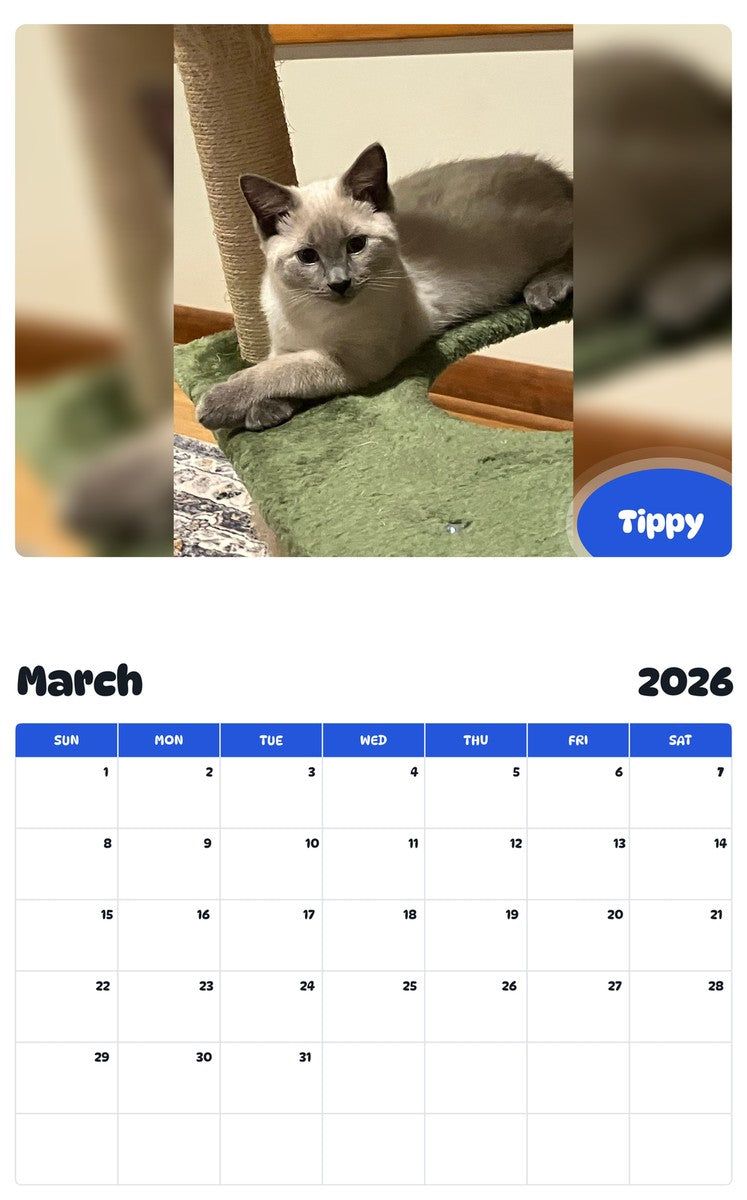 November 2025 - October 2026 Tippy - Pawidols Pet Calendar