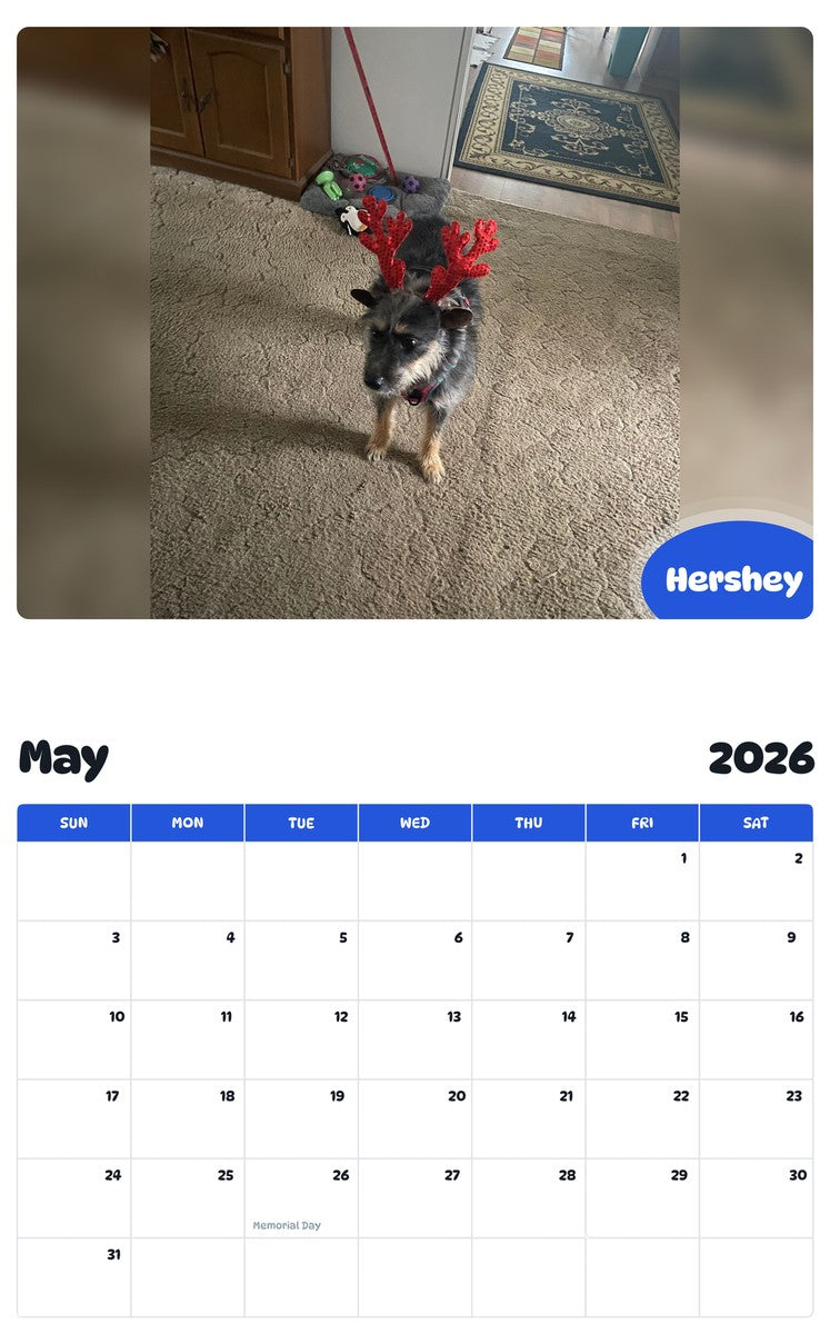 2026 - 2027 Hershey - Pawidols Pet Calendar