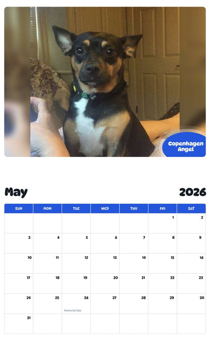 2026 - 2027 Copenhagen Angel - Pawidols Pet Calendar