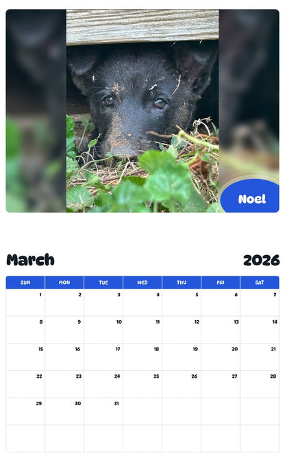 November 2025 - October 2026 Noel - Pawidols Pet Calendar