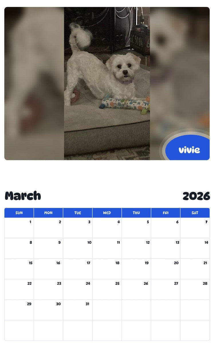 November 2025 - October 2026 vivie - Pawidols Pet Calendar
