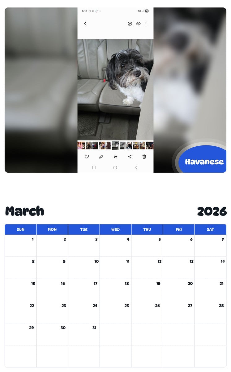 November 2025 - October 2026 Havanese - Pawidols Pet Calendar