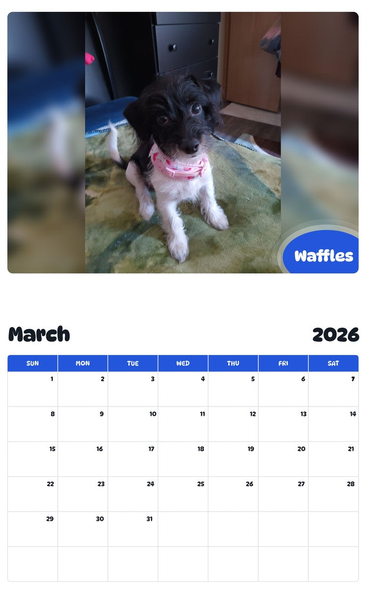 November 2025 - October 2026 Waffles - Pawidols Pet Calendar