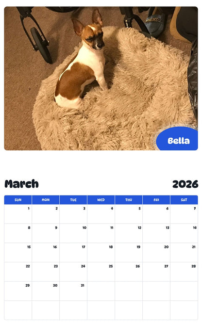 November 2025 - October 2026 Bella - Pawidols Pet Calendar