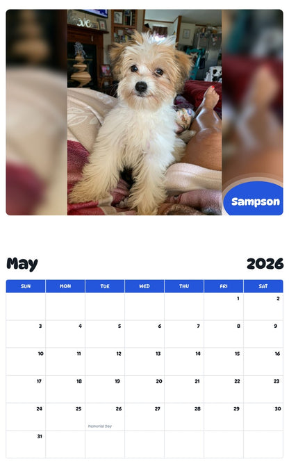2026 - 2027 Sampson - Pawidols Pet Calendar