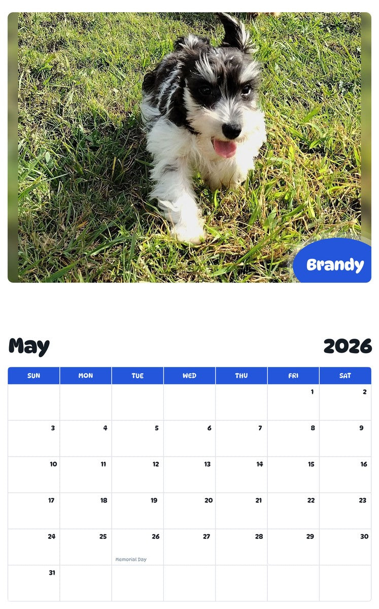 2026 - 2027 Brandy - Pawidols Pet Calendar