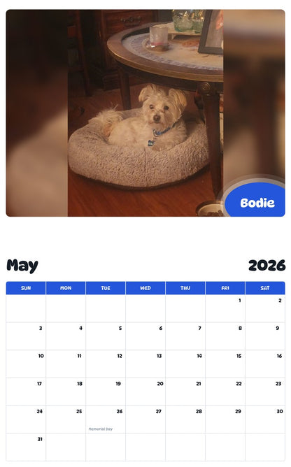 2026 - 2027 Bodie - Pawidols Pet Calendar