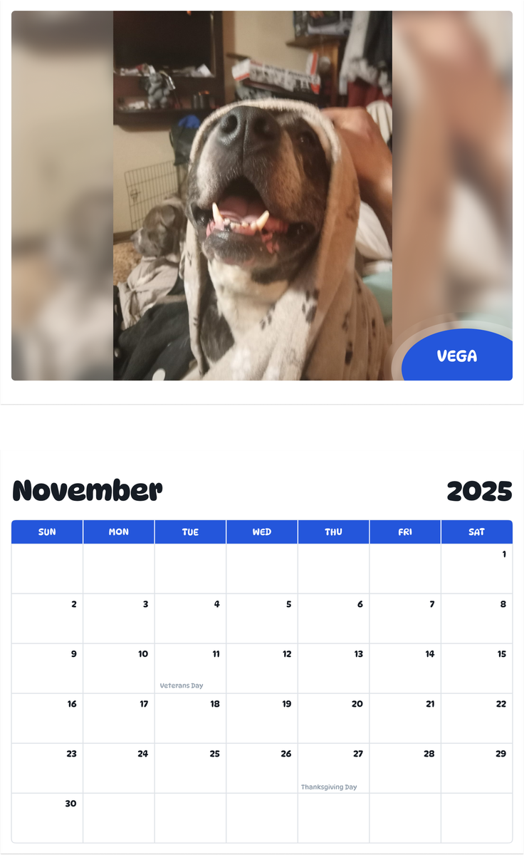 July 2025 - June 2026 Vega - Pawidols Pet Calendar