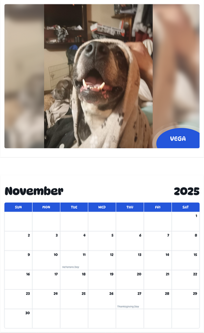 July 2025 - June 2026 Vega - Pawidols Pet Calendar