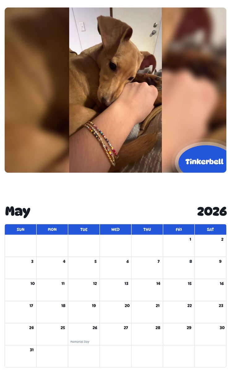 2026 - 2027 Tinkerbell - Pawidols Pet Calendar