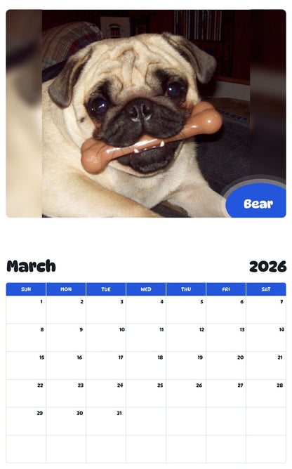 November 2025 - October 2026 Bear - Pawidols Pet Calendar