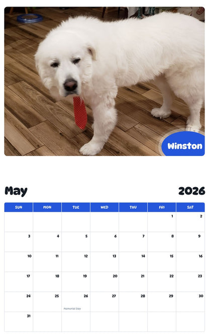 2026 - 2027 Winston - Pawidols Pet Calendar