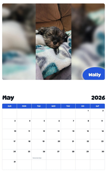 2026 - 2027 Wally - Pawidols Pet Calendar