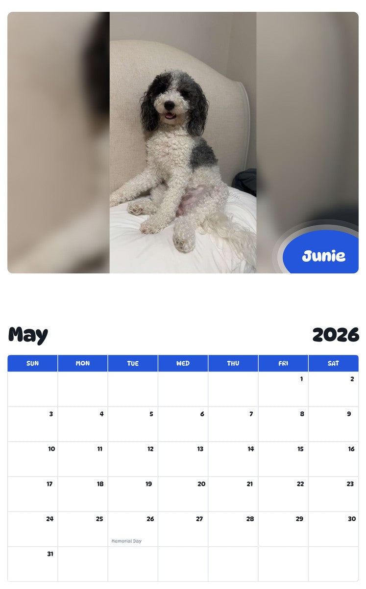 2026 - 2027 Junie - Pawidols Pet Calendar