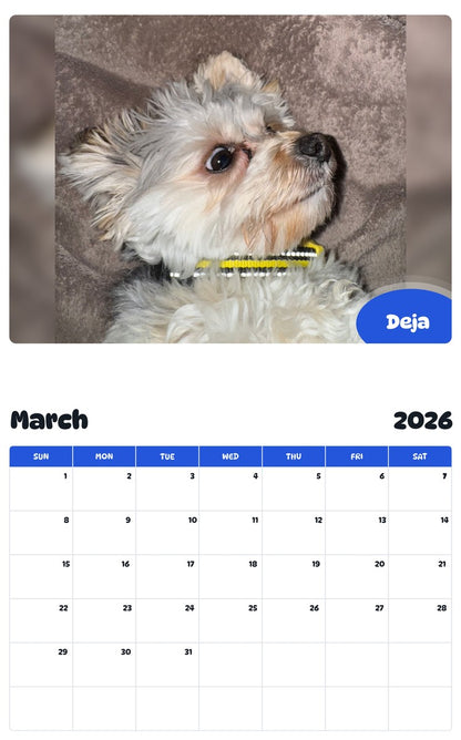 November 2025 - October 2026 Deja - Pawidols Pet Calendar